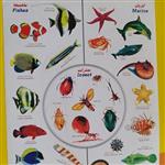 استیکر آموزش حیوانات آبزی،ماهی ها و حشرات به زبان فارسی و انگلیسی بیست و نه تکه