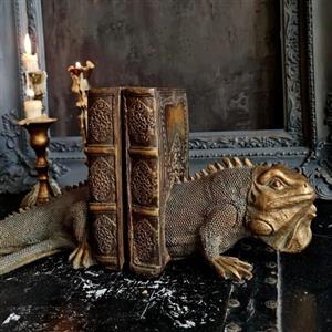 هولدر کتاب ایگوانا