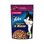 پوچ گربه فلیکس طعم اردک و اسفناج در ژله Felix gourmet sensations