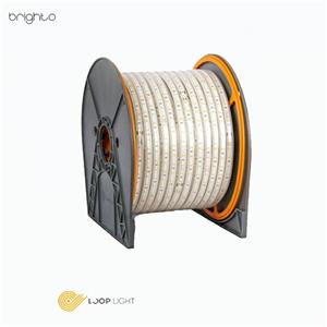 ریسه شلنگی لوپ لایت 2835 انبهی تراکم 60 