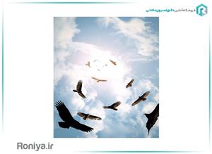 آسمان مجازی پرواز عقاب ها کد 61