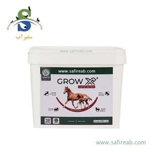 مکمل رشد کره اسب گرو ایکس رایمون