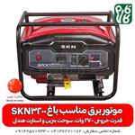 موتور برق مناسب برای باغ SKN 3200 ویما