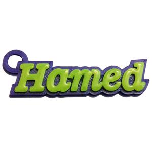 جاسوییچی کد AV73 مدل hamed