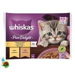 پوچ بچه گربه ویسکاس با طعم مرغ و بوقلمون Whiskas pure delight chicken & turkey in jelly بسته ۴ عددی