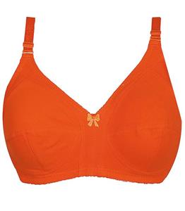 سوتین زنانه طرح شوکا کد 320632106