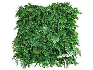 گرین وال ترکیبی استوایی 50×50