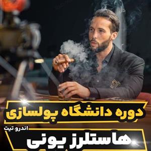 دوره دانشگاه پولسازی اندرو تیت