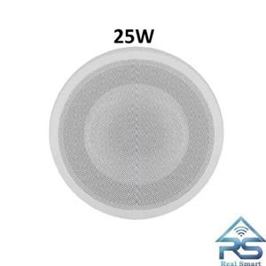اسپیکر سقفی 25وات FG-Sound