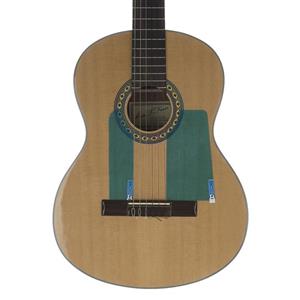 گالپیدور گیتار مدل Guitar Armor-01