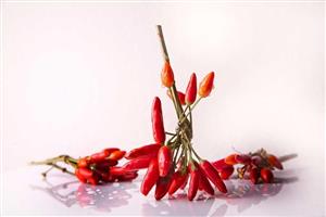 فلفل قرمز ایرانی برند Karoël Spice یک کیلویی 