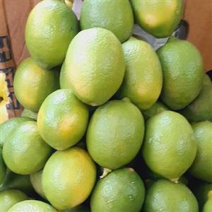 لیمو ترش برزیلی آبدار وتازه ودرجه یک (1،000)گرم