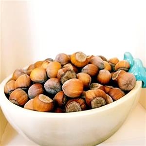 فندق خام تازه اشکور محصول 1402 (500 گرم)