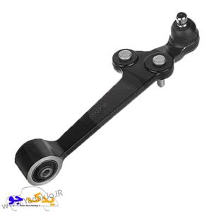 طبق ریو امیرنیا