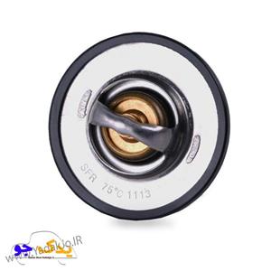 ترموستات ۴۰۵ 75درجه باباپارت