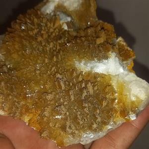 راف کلکسیونی  گلسیت طلایی