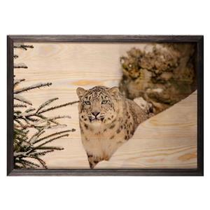 تابلو چوب آتینو مدل Snow Leopard 