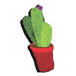 پیکسل مدل Cactus04