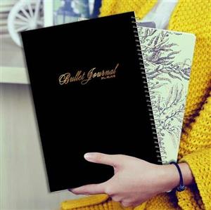 دفتر  مستر راد مدل بورت ژورنال نقطه ای طرح اسکرپ بوک کد planer 1618