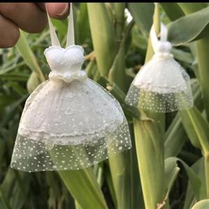 گیفت عروسی گچی لباس عروس
