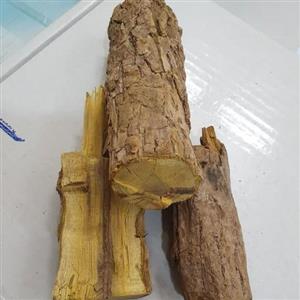 ریشه زرشک 100 گرم