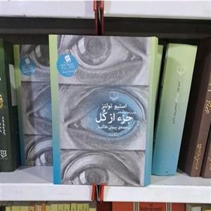 کتاب جز از کل اثر استیو تولنزترجمه پیمان خاکسار جلد گالینگور نشر چشمه