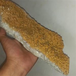 راف گلسیت طلایی کلکسیونی