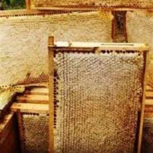 عسل گون موم دار 1کیلویی(عسل  خانه عسل)