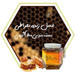 عسل طبیعی  بغراطی 450 گرمی(پک 12 عددی) مورد تایید حکیم روازاده