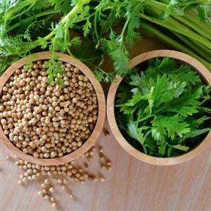 سبزی گشنیز خشک نیم کیلویی