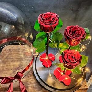 باکس دیودلبر با گل جاودان 3شاخه ای