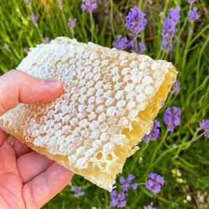 عسل طبیعی اسطوخودوس(فراورده های طبیعی ایلیا)