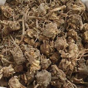 ریشه کرفس - 500 گرم