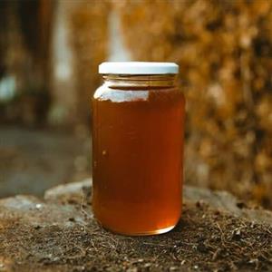  عسل (عسل کتیرا)( فراورده های طبیعی ایلیا )