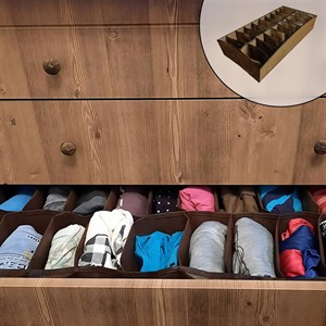نظم دهنده ایران کارا مدل Box 20
