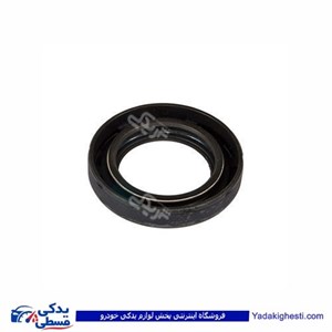 کاسه نمد پلوس بزرگ 405 ایساکو