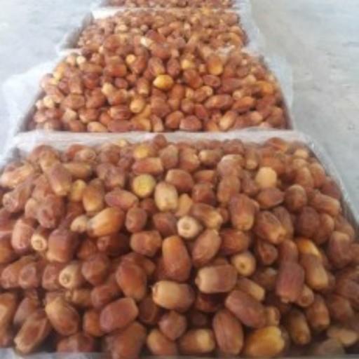 خرما زاهدی فله