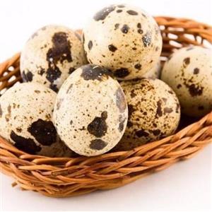 تخم بلدرچین 120تایی 