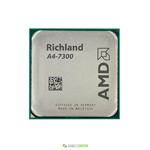 AMD A Series APU A4 7300