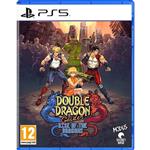 دیسک بازی Double Dragon Gaiden: Rise Of The Dragons – مخصوص PS5