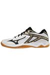 کفش والیبال مردانه Mizuno V1GA217009