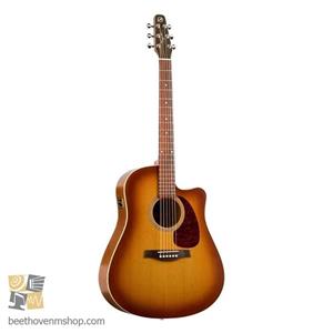 گیتار آکوستیک سیگول مدل Entourage Rustic CW QI