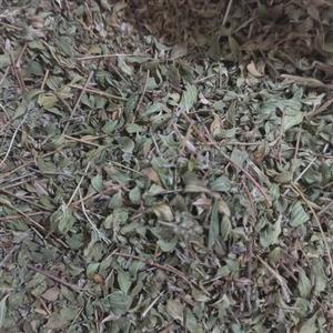 آویشن محلی ، آذربه ( برگ آویشن )