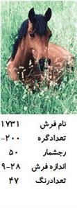 نخ و نقشه تابلو فرش دستبافت  طرح اسب در علفزار کد ۱۷۳۱