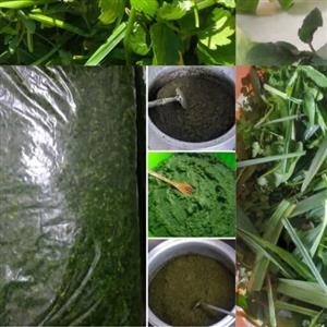 سبزی قرمه سبزی  4 کیلویی