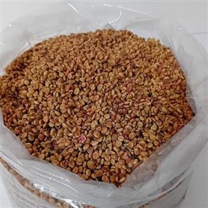 پودر سماق ترش قهوه ای مخصوص کباب فوتکا بسته 1 کیلویی (بدون هسته ) با کیفیت و خالص