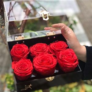 گل رز جاودان اترنال بلومز مدل Eisatis Enternal Blooms Eisatis Preserved Rose Flower Box