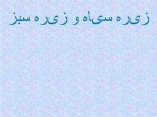 پاورپوینت زیره سیاه و زیره سبز