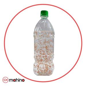 آرتمیا زنده بطری یک لیتری