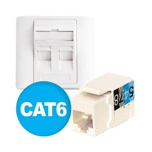 فیس‌پلیت دوپورت + کیستون Cat6 آلفا a03F201-6 Alfa